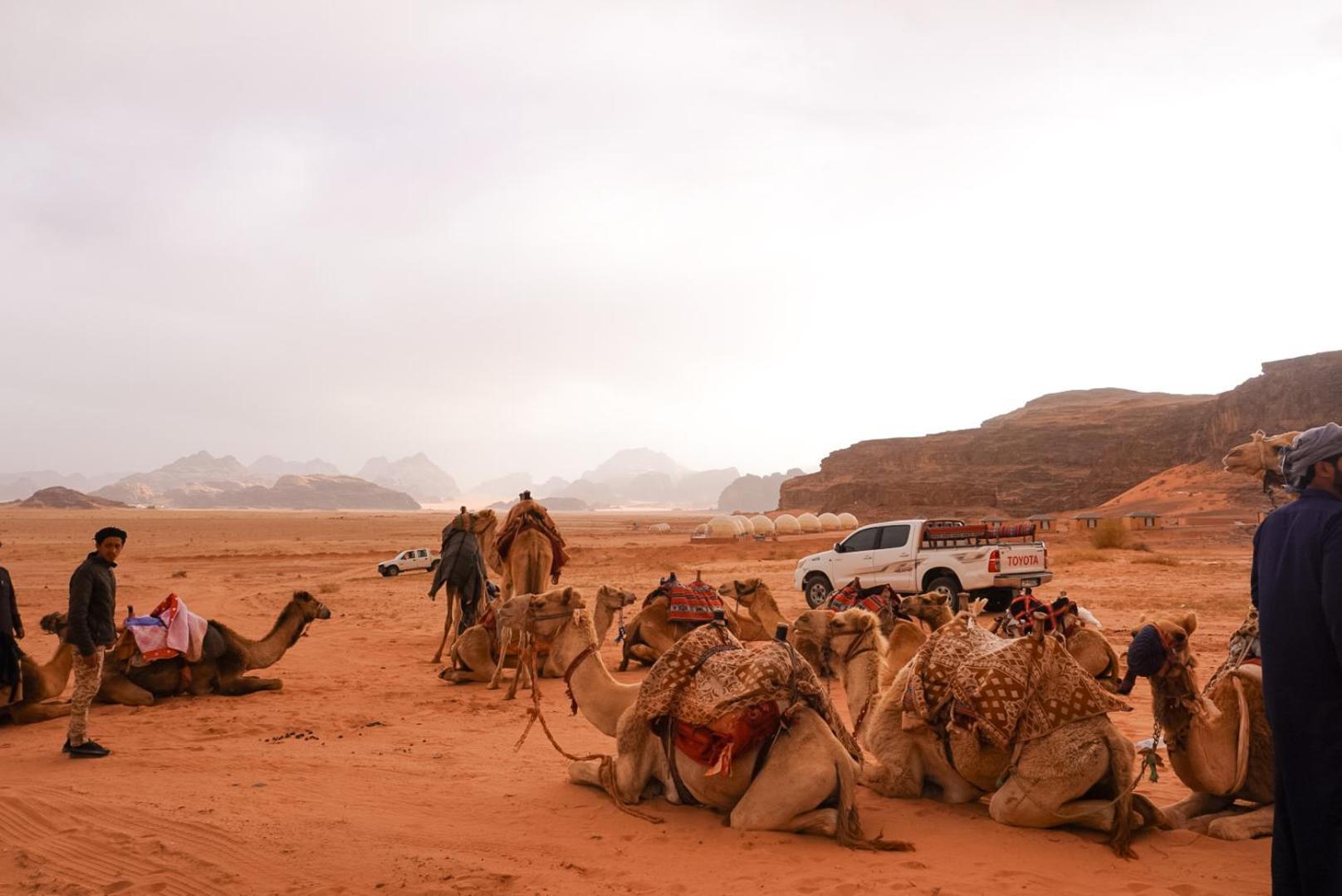 Shaheen Camp Wadi Rum Eksteriør bilde