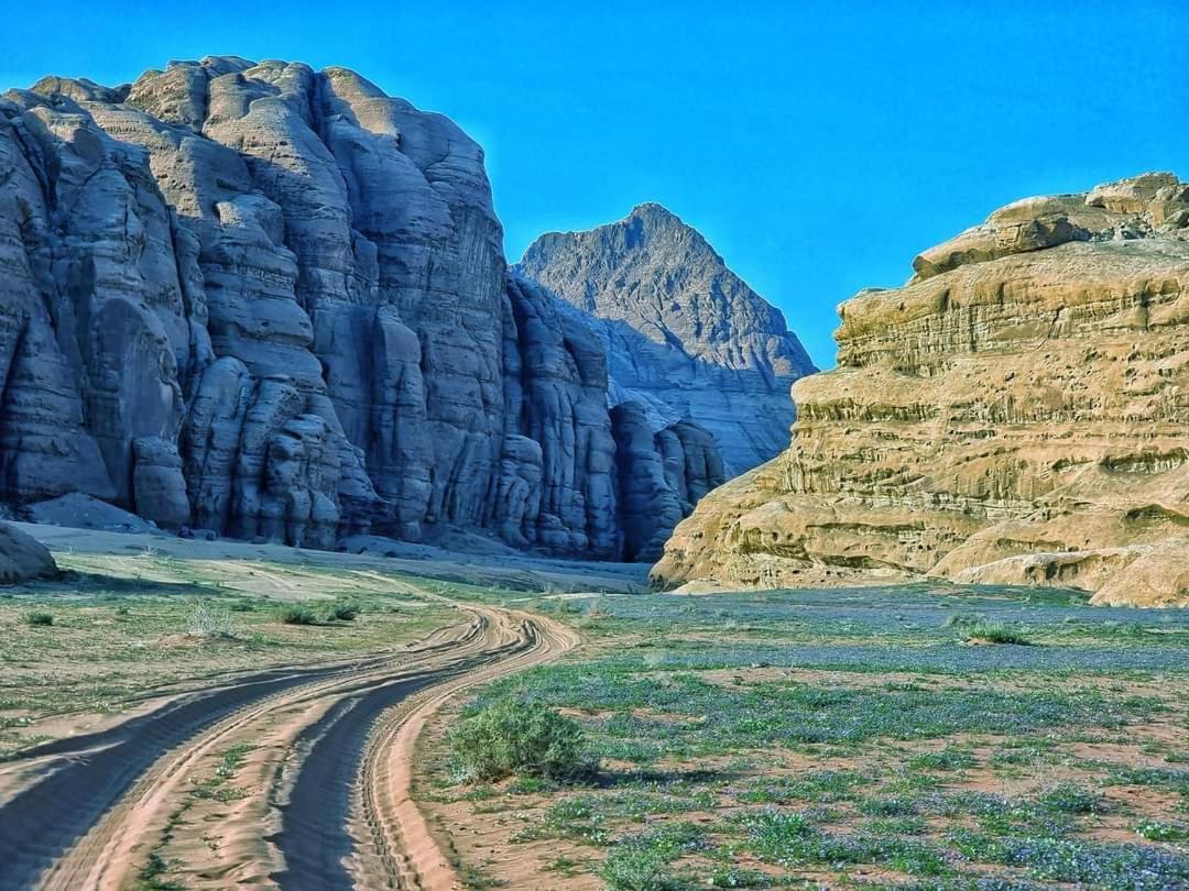 Shaheen Camp Wadi Rum Eksteriør bilde