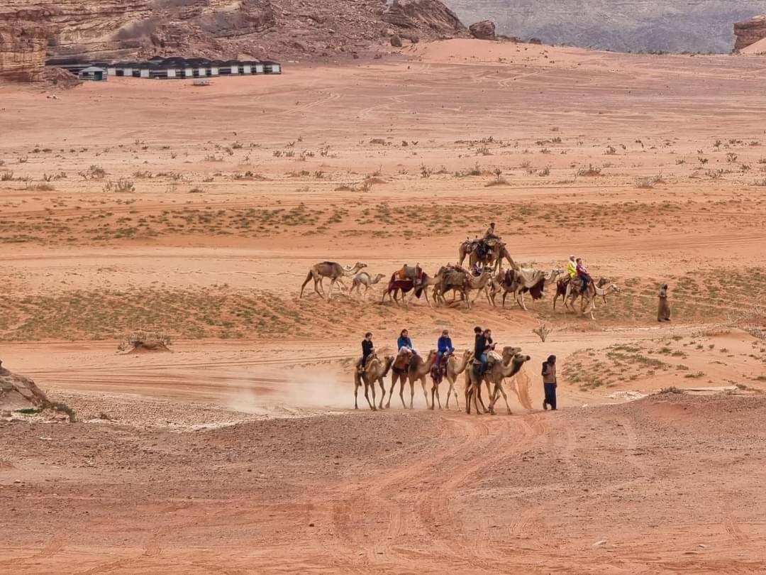 Shaheen Camp Wadi Rum Eksteriør bilde